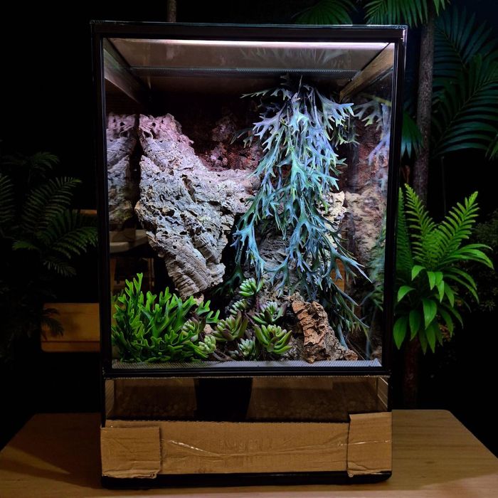 Terrarium 40x40x60H, wystrój, Producent, wysyłka