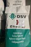 Озимий ріпак Дипло DSV