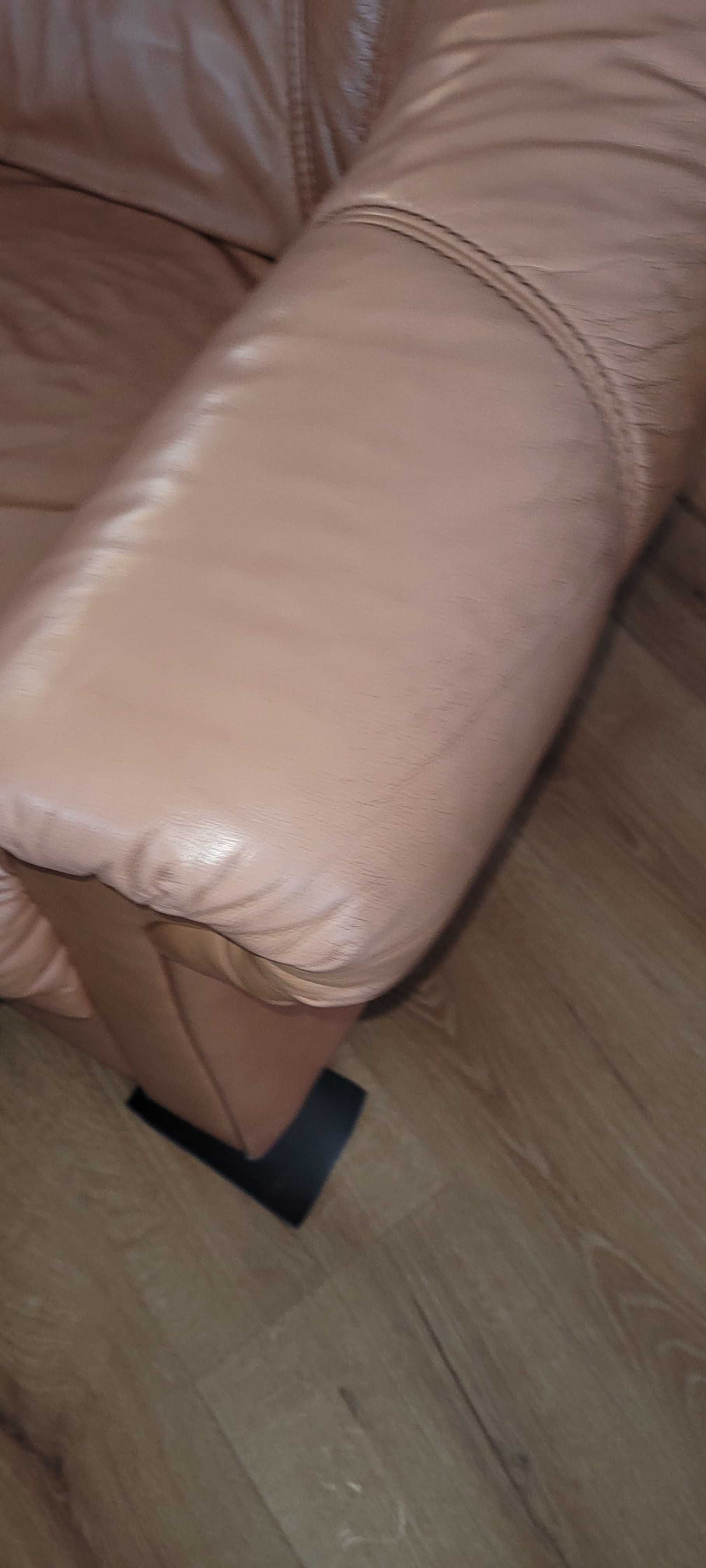 Fotel skóra firmy EtapSofa