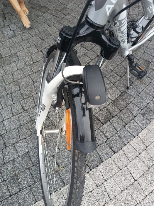 Rower Alpina eco