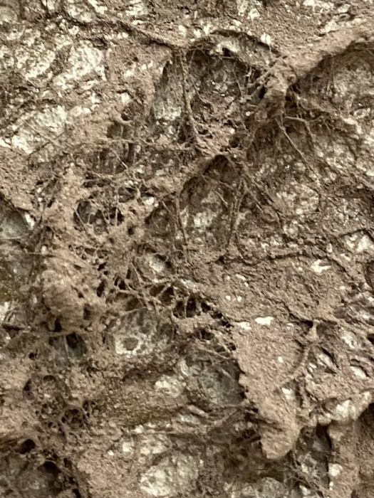 Sprzedam abstrakcje 3D