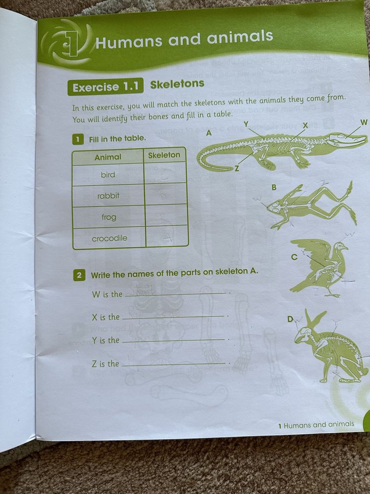 Activity Book Cambridge Primary Science