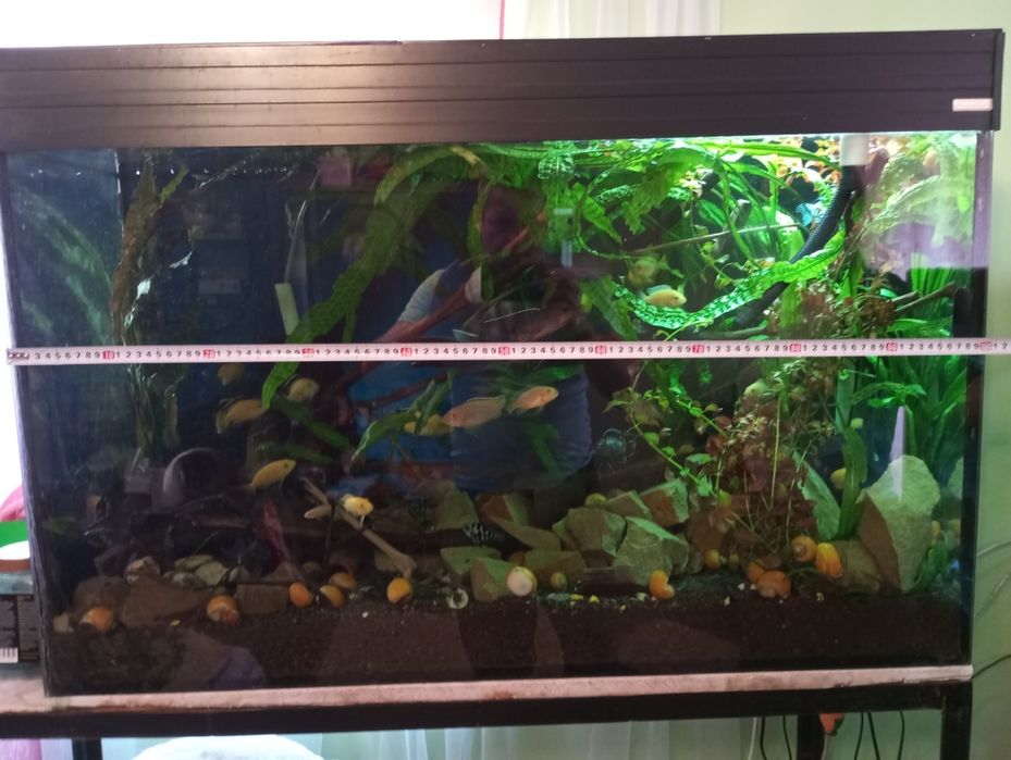 Акваріум ..б/ у в хорошому стані