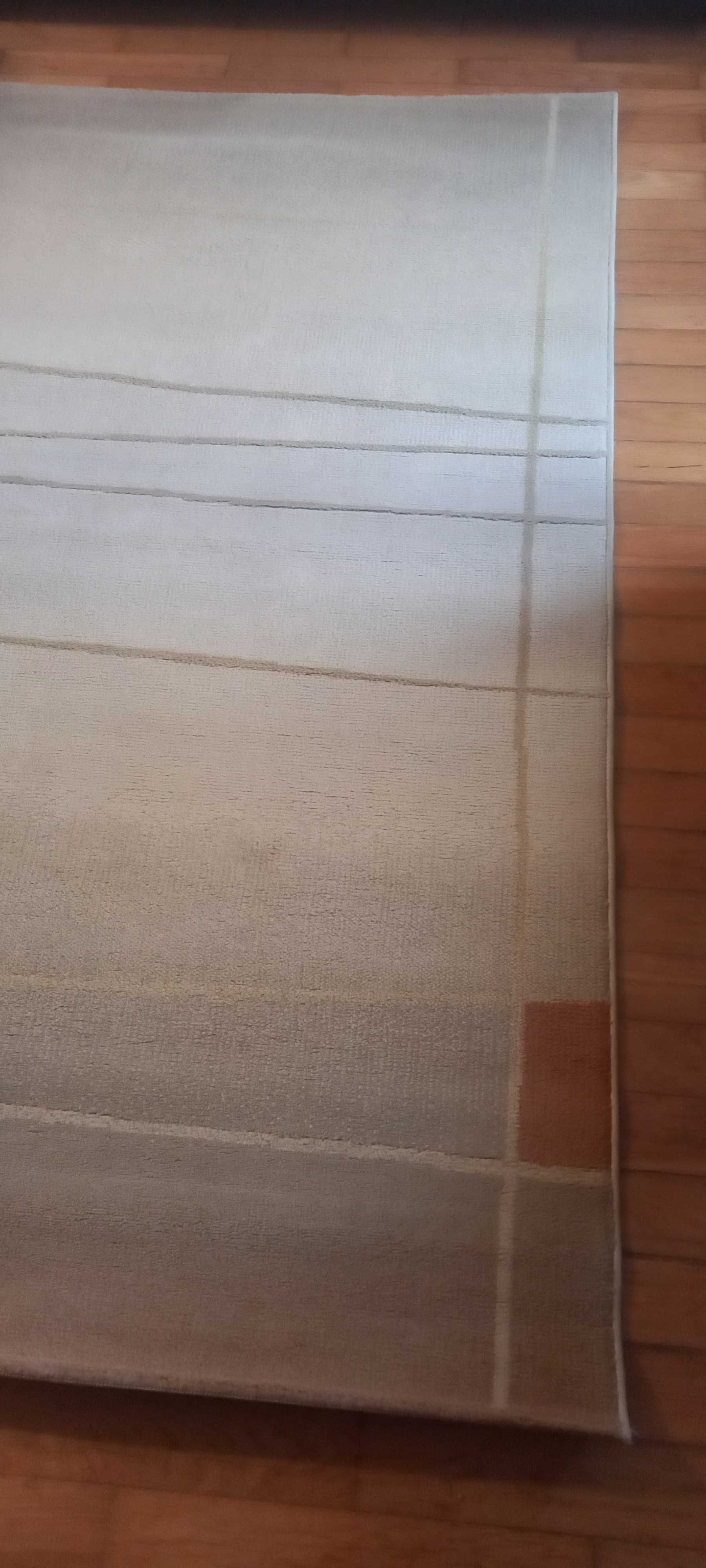 Carpete de sala com pêlo rapado