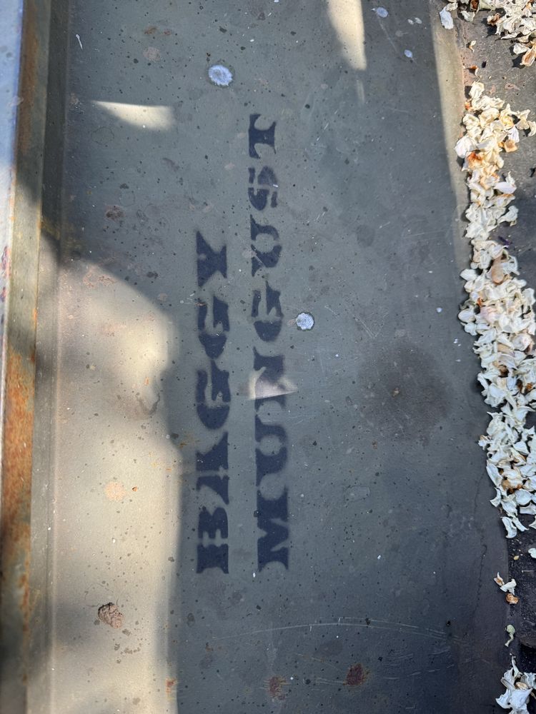 Baggy Mungust/Баггі