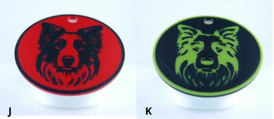 Adresówka dla psa - Border Collie - zawieszka imiennik identyfikator