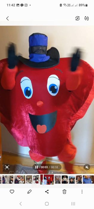 По зич аю костюм Панда.