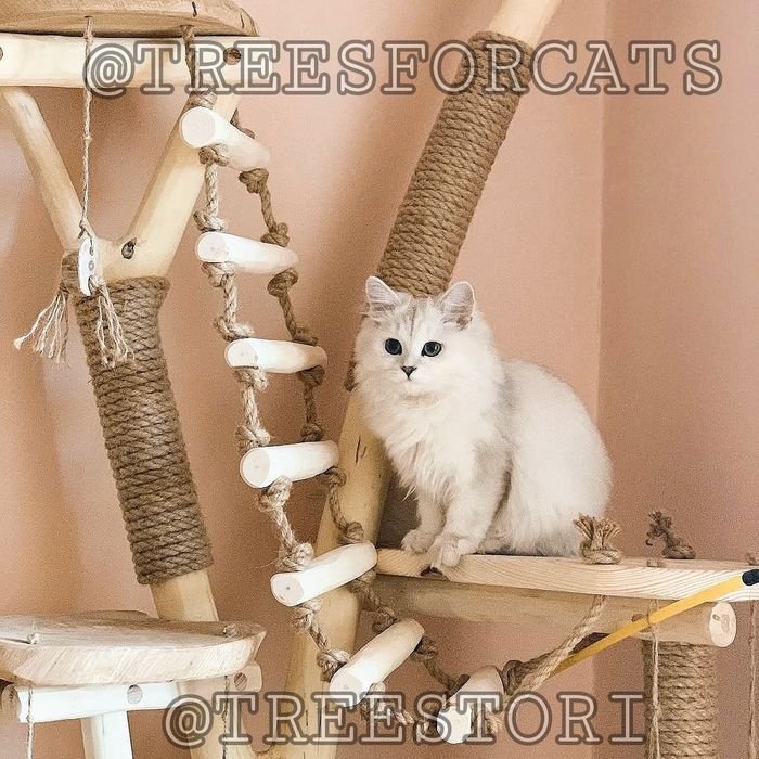 Когтеточка. Гральний комплекс, будинок для кота, кішки. Дряпка котиків