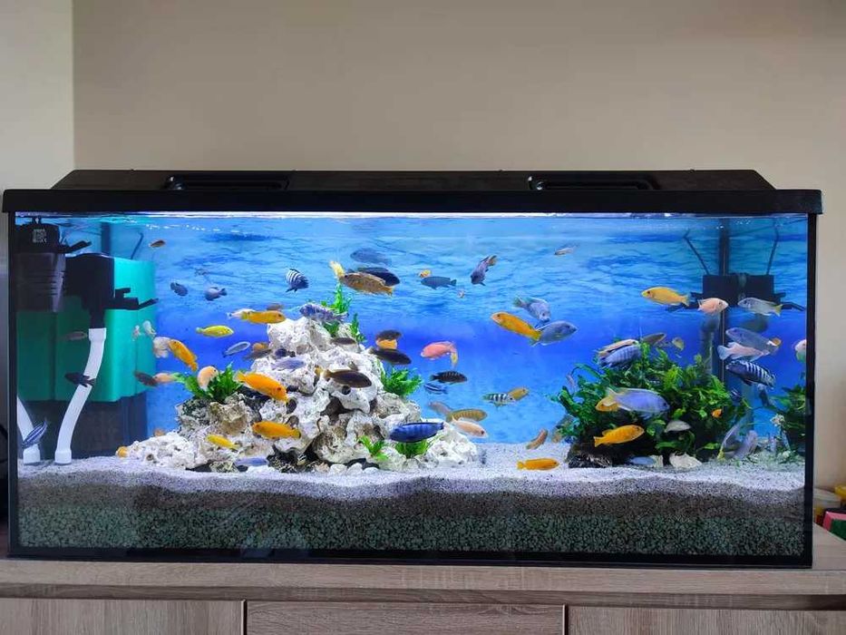 Akwarium proste 200x50x60 - 600 litry float