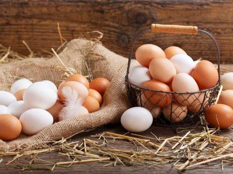 Jajka kurze z wolnego wybigu