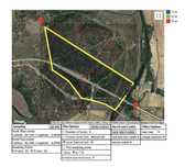 Vende-se propriedade 110 hectares