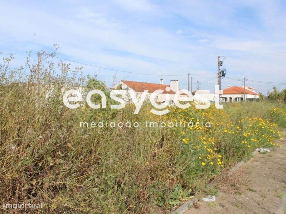 Terreno para construção de moradia nas Fazendas de Almeirim