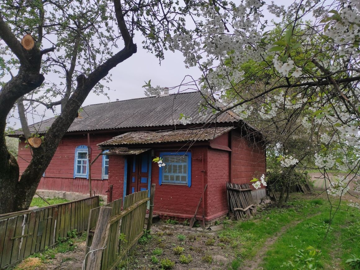 Продам будинок в селі Анисів