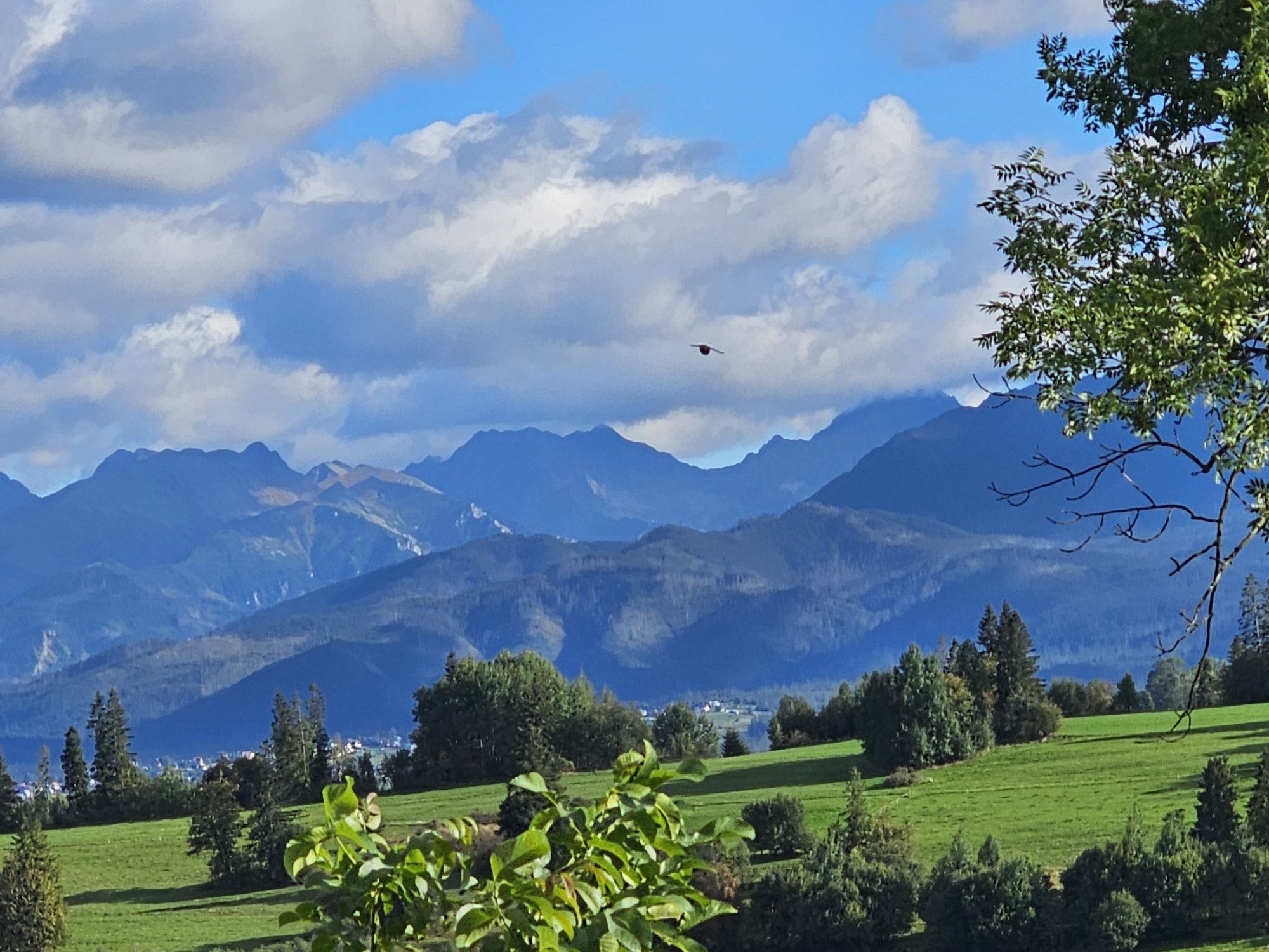 Apartament z widokiem na Tatry