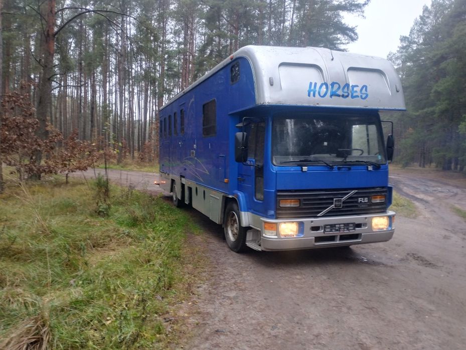 Koniowóz Volvo fl