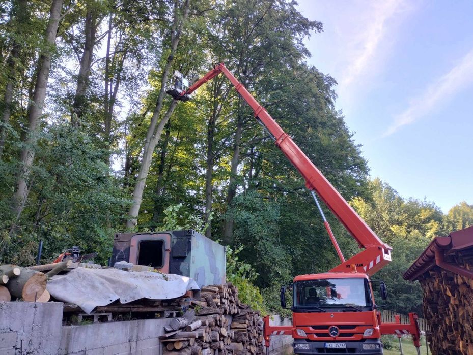 Usługi, Wycinka, przycinka drzew z podnośników koszowych 20m/31m,