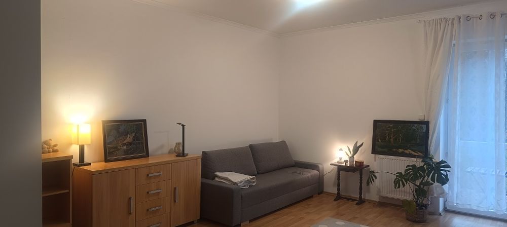 Wynajmę segment w Czarnym Lesie z nowym poddaszem.Grodzisk Mazowiecki.