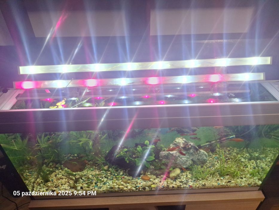 Akwarium AQUAEL 240 l