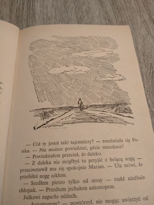 Irena Jurgielewiczowa Ten obcy biblioteka młodych