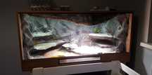 Terrarium 120x60x60