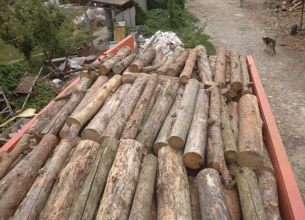 Вугілля - палети - дрова - сосна