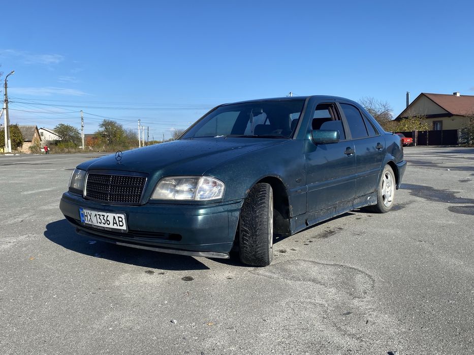 Мурчик сів та полетів