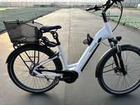 Rower elektryczny Pegasus Evo 625 Wh ready