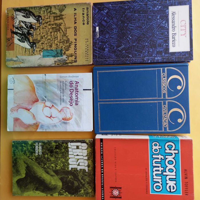 Coleção de Livros Mistos - Autores Variados - Conjunto 13