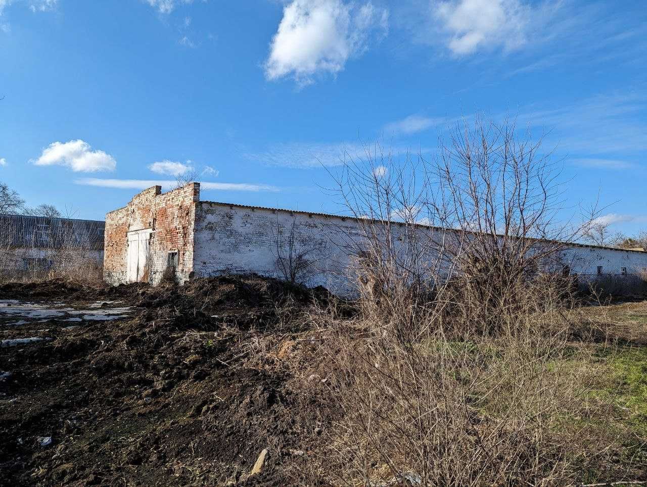 Продам приміщення ферми 800 кв.м біля Шполи, ділянка 1,1 га