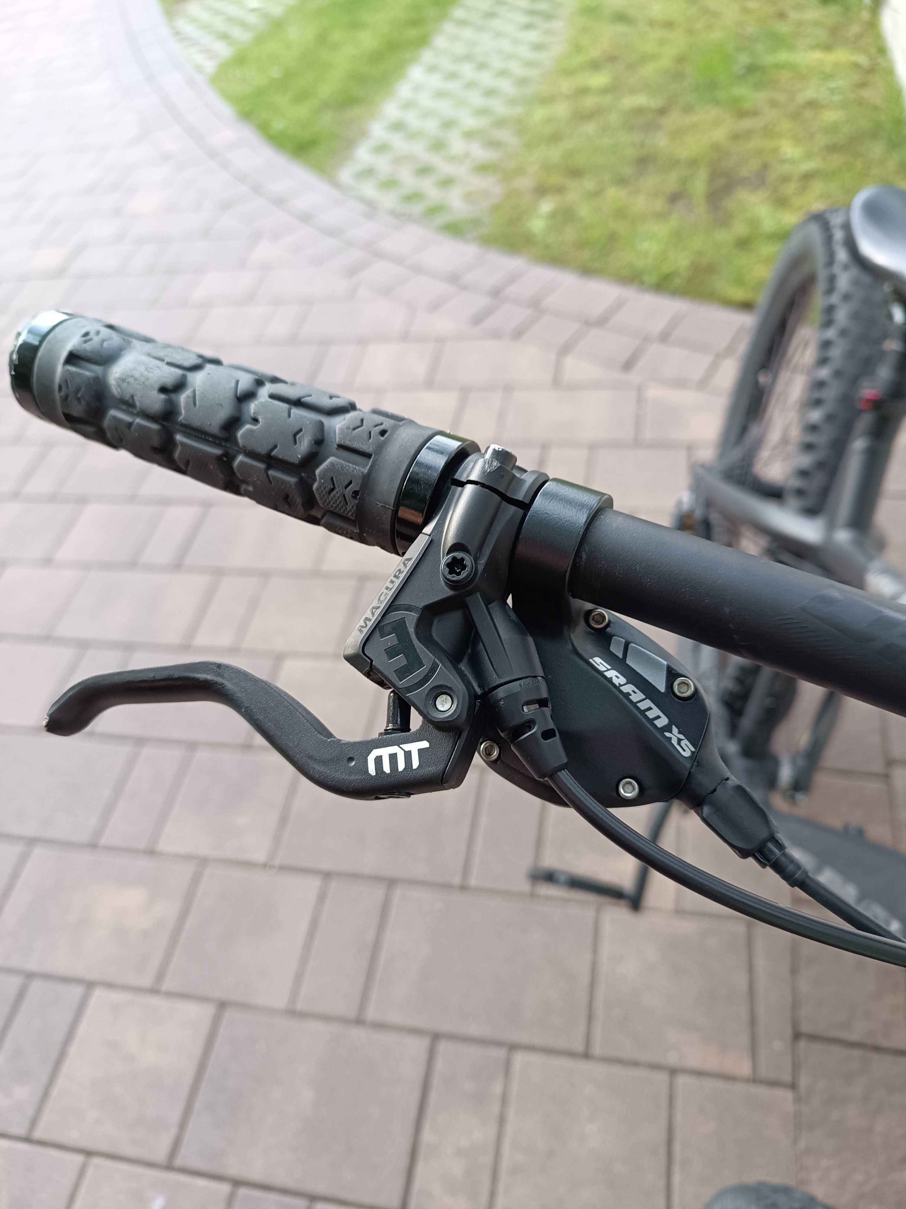 Dartmoor hornet 2021