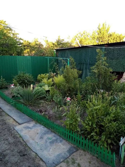 Продам великий красивий 5-кімнатний будинок + ділянка, торг