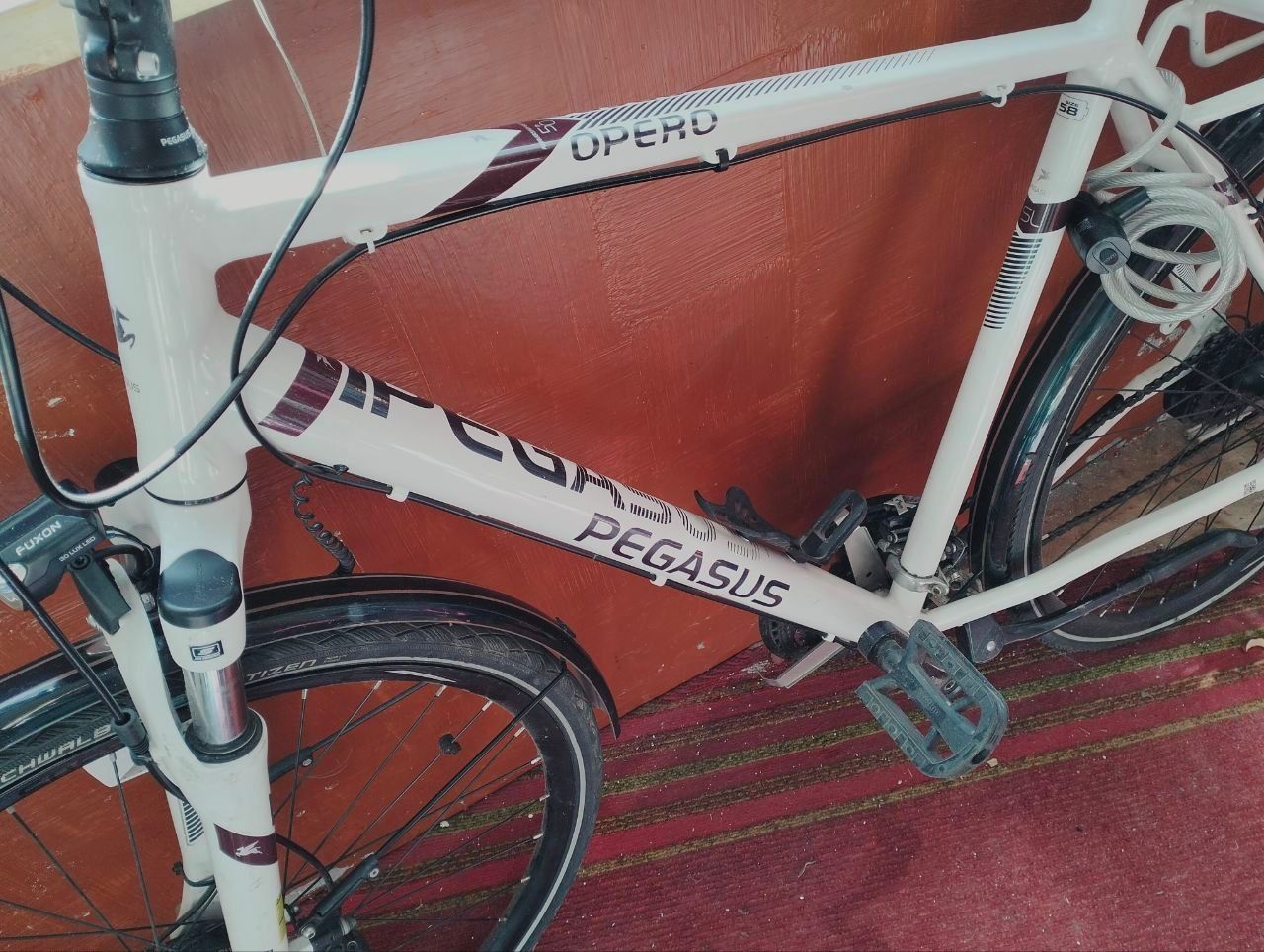 Велосипед Pegasus Opero