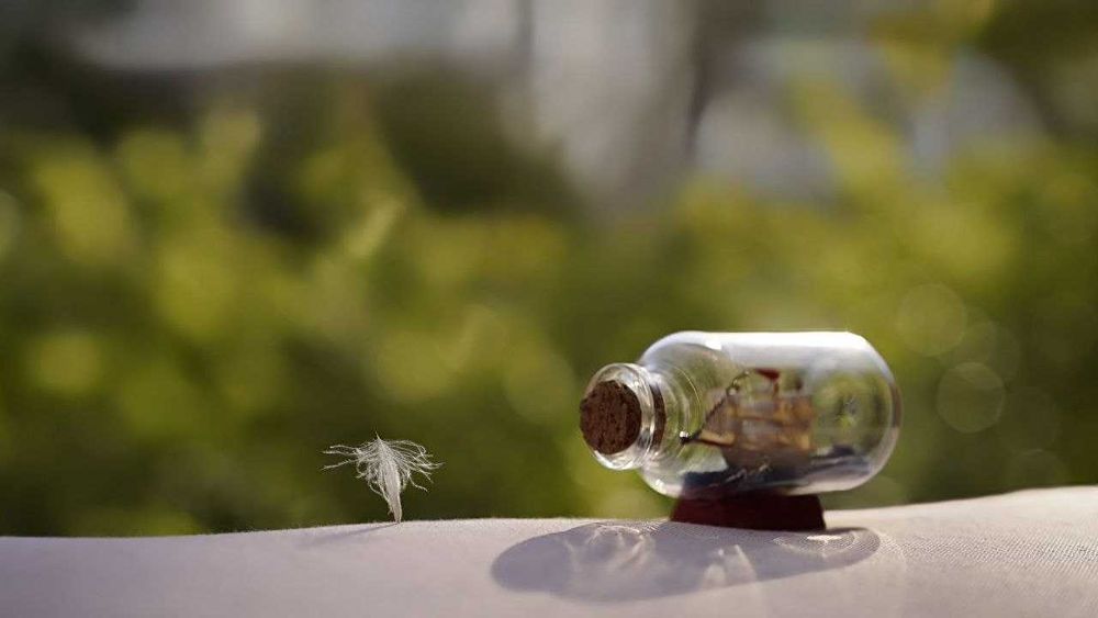 Micro-Nikkor-P Auto 1:3.5 f=55mm