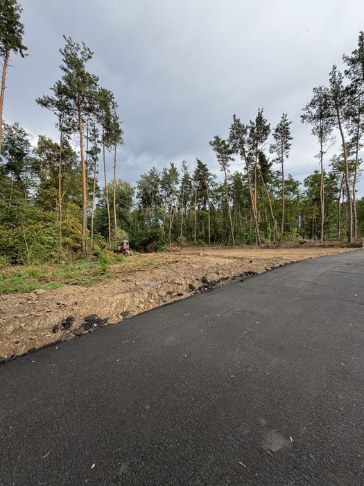 Продаж ділянок у сосновому лісі від 10-12-25 соток КМ Нова Ходосівка