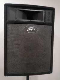 Kolumny Pasywne Peavey pro15