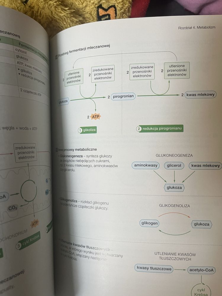 Biologia na czasie 1 zakres podstawowy PWSM