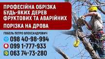 Обрізка дерев(аварійних і фруктових)