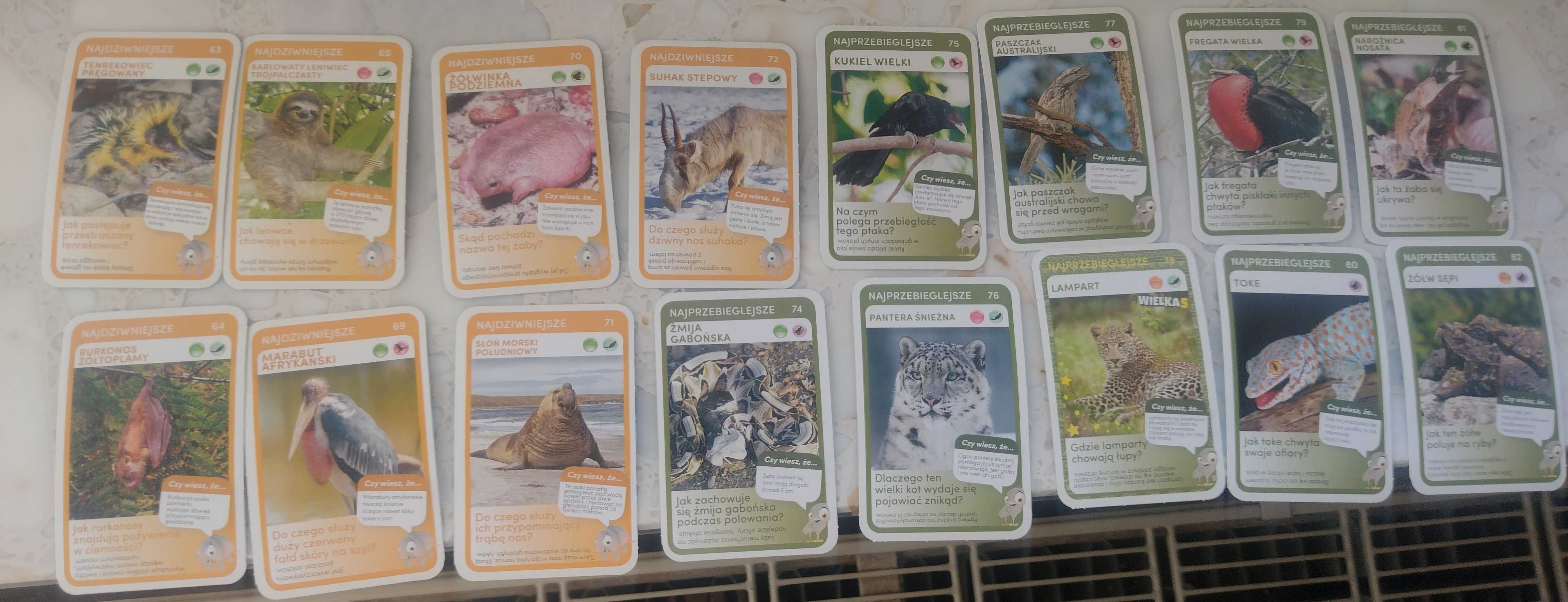 Kolekcja karty super zwierzaki biedronka