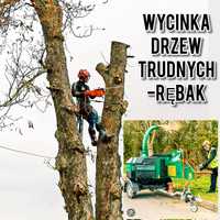 Wycinka drzew, przycinkai. Arborysta, usługi rębakiem. Rębak