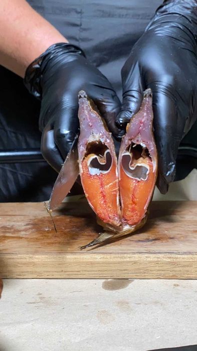 ВЕРХОВОДКА З ІКРОЮ плотва синець окунь