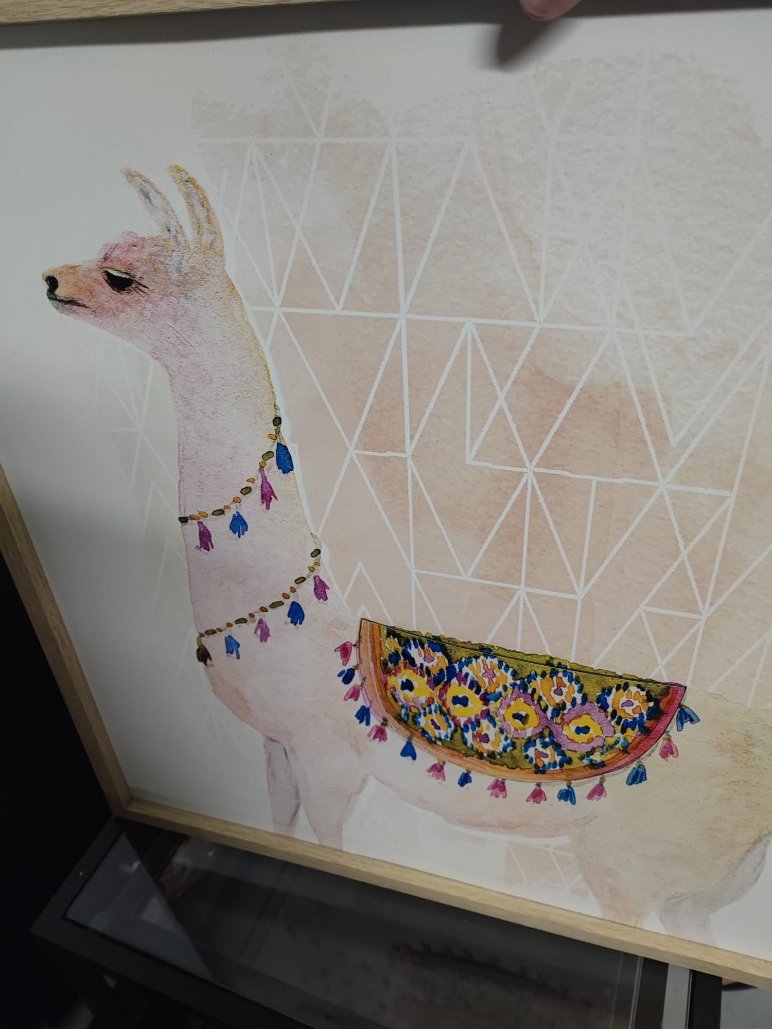 Quadro Lama
60×60 cm

Preço: 10€