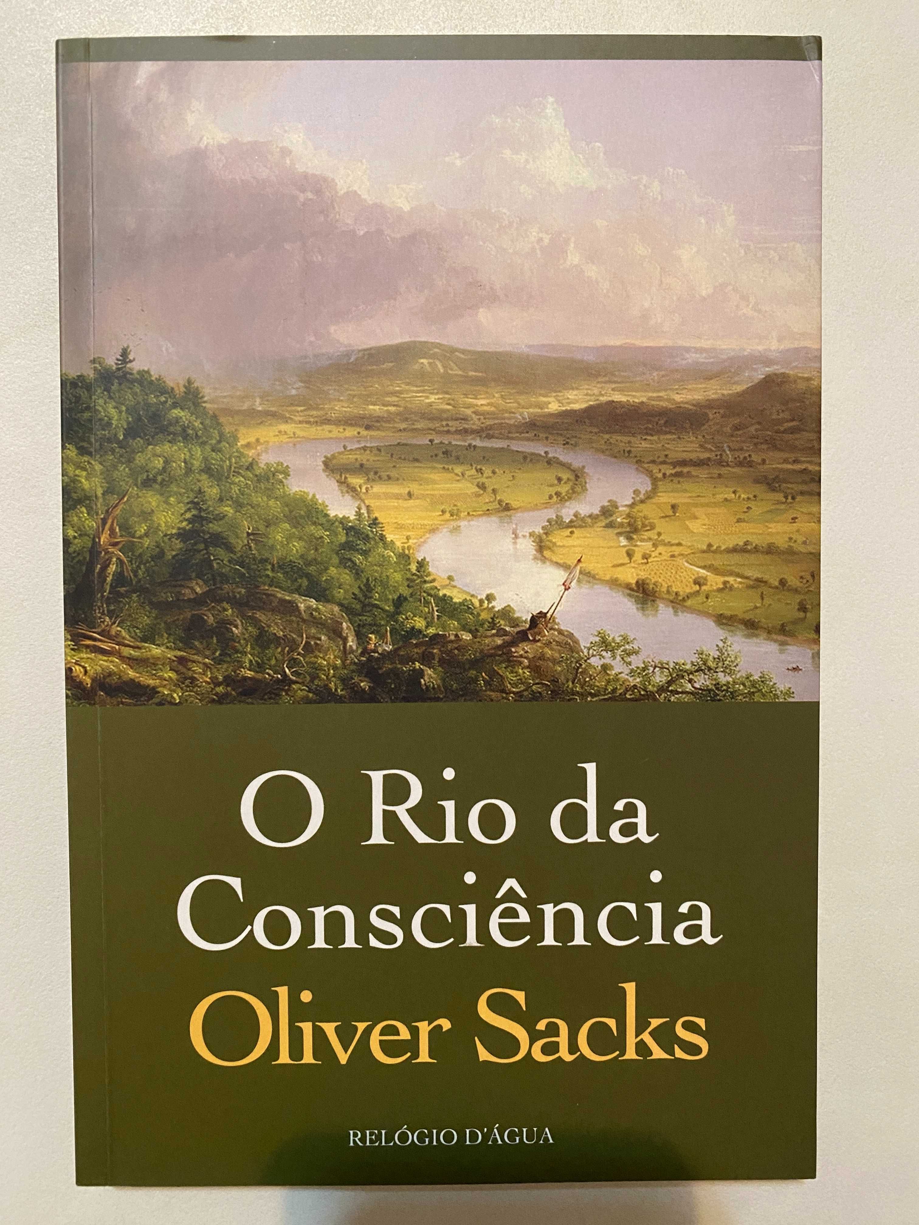 O Rio da Consciência, de Oliver Sacks