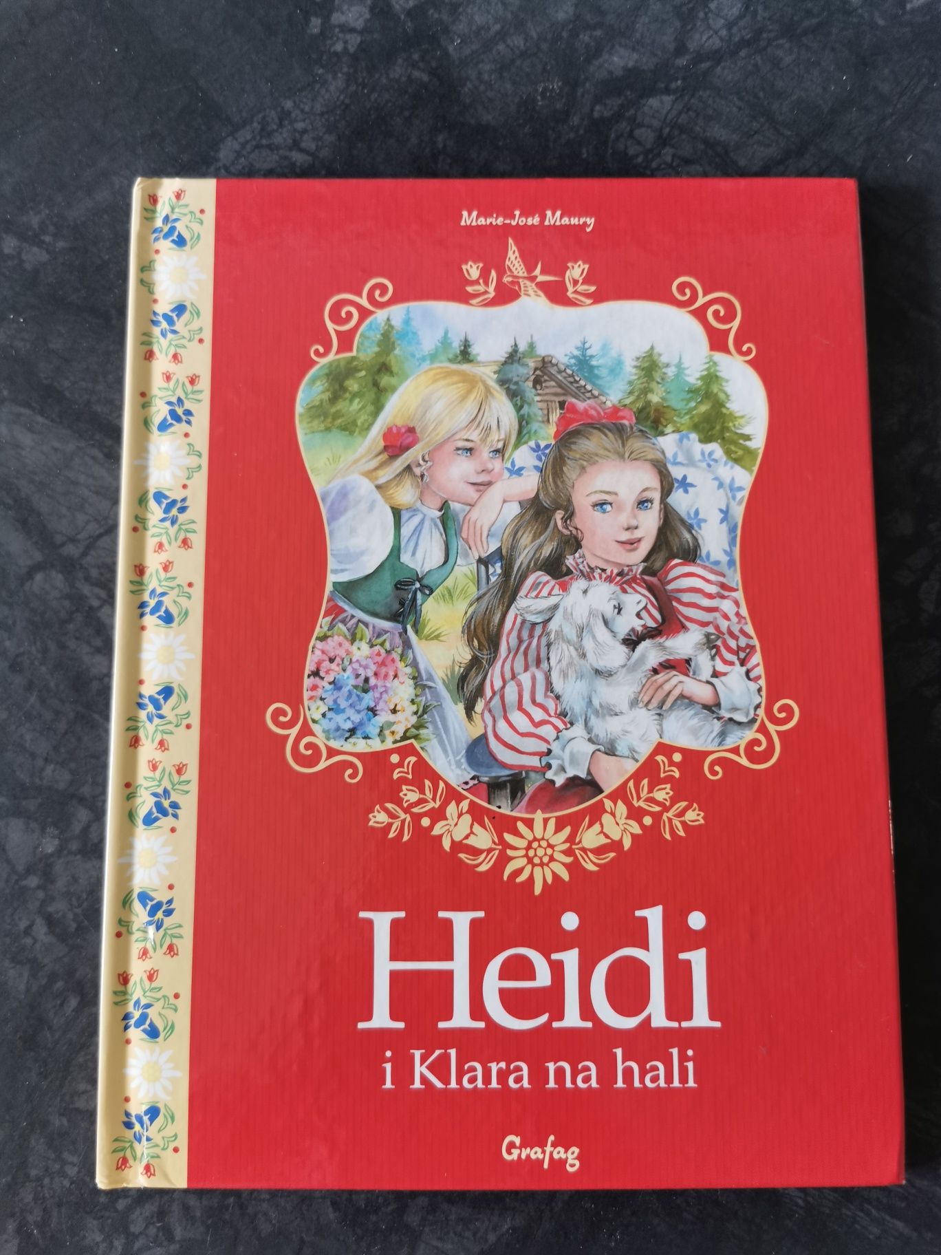 Książka Heidi i Klara na hali