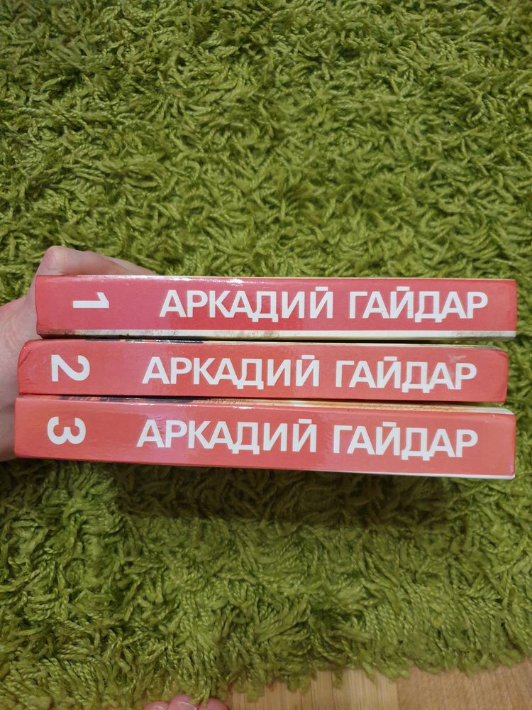 Ромен Ролан, Аркайдий Гайдар