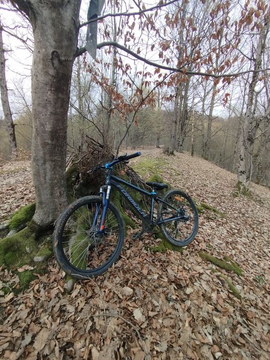 Велосипед вормула