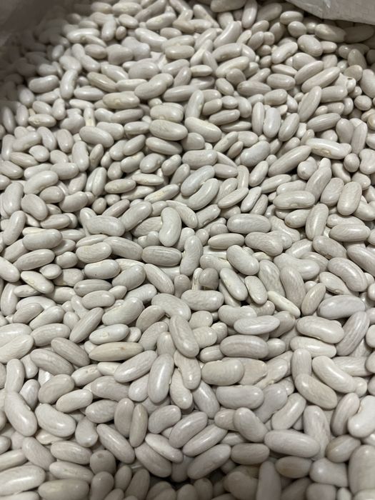 Насіння гарбуза сушене та смажене/ Семечки тыквенные /квасоля