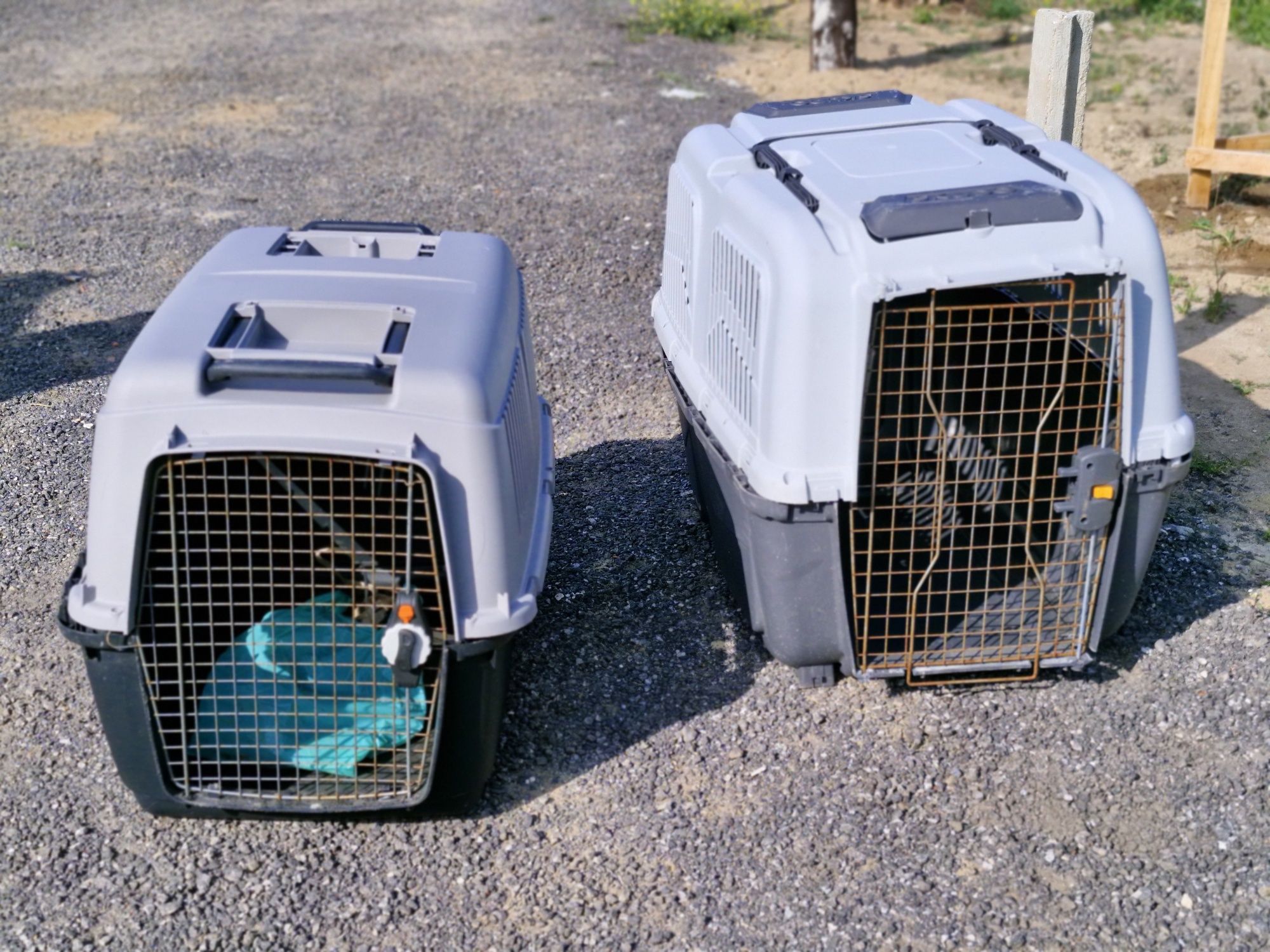 Caixas transporte de cães grandes