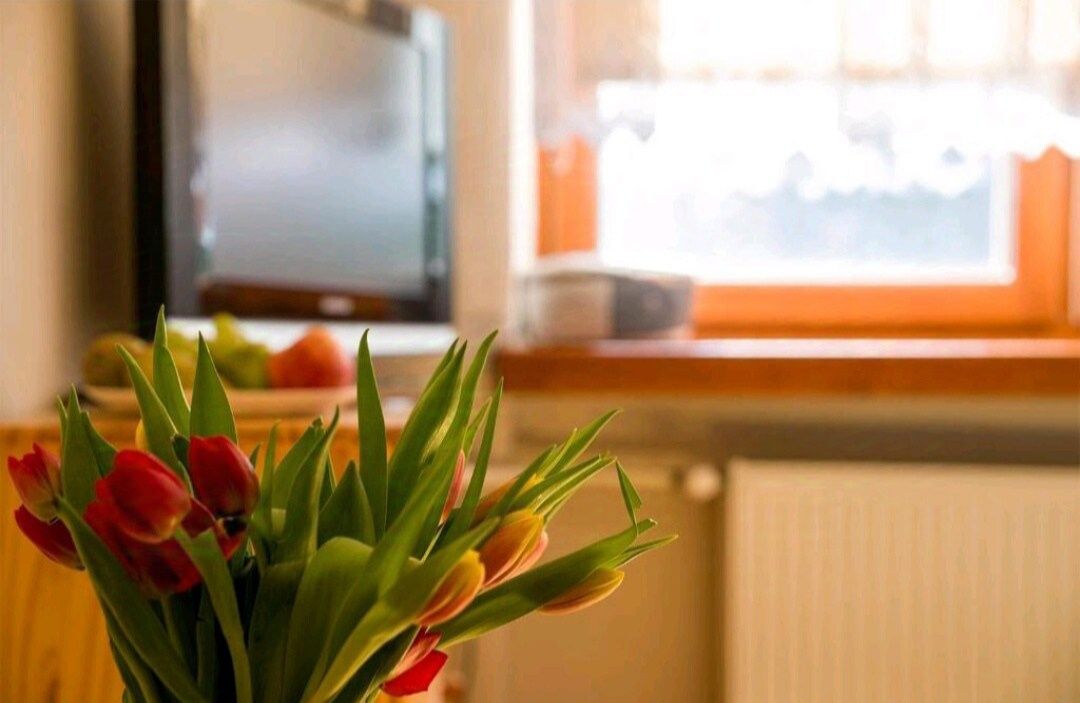 Apartament Halo Wisła