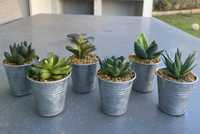 Conjunto de 6 vasos com plantas suculentas decorativas