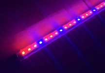 Belka LED Plant/Grow 52 cm akwarium / refugium